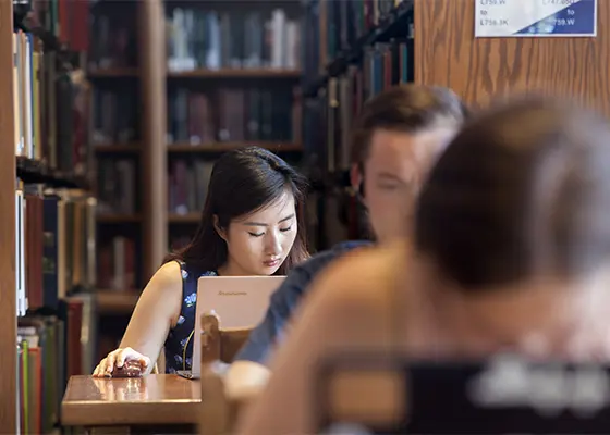 students studying in the library